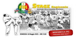 Locandina Stage.